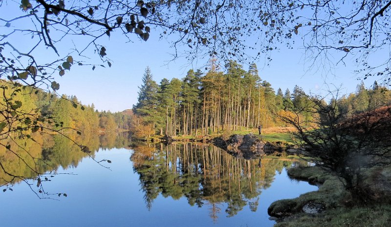 (27) Tarn Howes.JPG